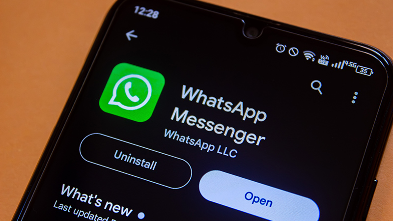 Svuotare cestino WhatsApp